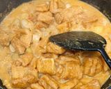 A picture of step 15 of Vegetarian curry.