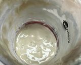 Foto del paso 3 de la receta: Masa madre para elaborar pan a la Sonorense