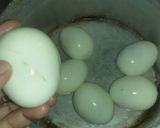 Foto langkah ke 4 dari resep Semur telur #aLaNakKairo.