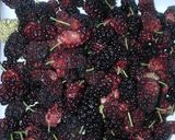 Foto del paso 1 de la receta: Mermelada de moras y manzanas😍