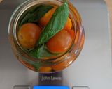A picture of step 4 of Fermented Tomatoes & Basil.