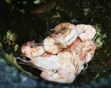 ขนมจีนน้ำพริกโบราณ วิธีทำสูตร 3 รูป