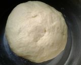 Foto langkah ke 5 dari resep Bapia Pathuk/Roti Bapia/Tou Luk Pia.