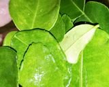 Foto langkah ke 1 dari resep Nasi Daun Jeruk.