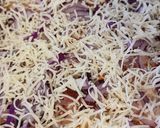 Kenyérlángos (langalló,töki pompos) recept fázis 7 fotója