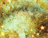 صورة لخطوة 4 من وصفة صيادية سمك 🐟