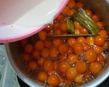 Foto langkah ke 4 dari resep Bubur Candil Ubi Kuning / Kolak Biji Salak.