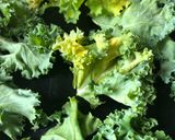 Φωτογραφία βήματος 2 της συνταγής Kale chips