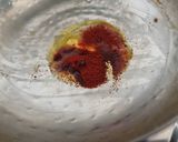 A picture of step 6 of Grilled paneer sizzler with Makhni sauce.