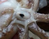 Foto del paso 1 de la receta: Calamares al ajillo y pimentón