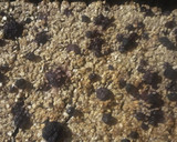 Foto del paso 4 de la receta: Barritas de avena con frutos rojos