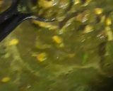 धनिया पालक चिकन (dhaniya palak chicken recipe in hindi) रेसिपी चरण 2 फोटो
