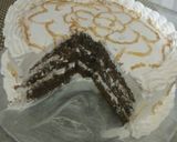 A picture of step 18 of Golden painted choc cake design.....