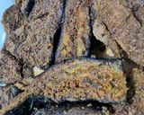 A picture of step 4 of Fried Baingan.