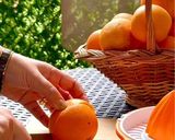 صورة لخطوة 3 من وصفة عصير برتقال طبيعي دون سكر 🍊. jus d’orange