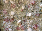 Lasagna zucchine e speck 💚