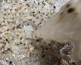 A picture of step 3 of How to peel beans using blender.