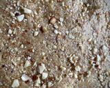 A picture of step 2 of Mava burfi (milk cake).