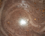 Foto del paso 7 de la receta: Tostadas de maíz azul