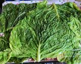 Rakott kel 🥬 recept fázis 7 fotója