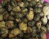 Foto del paso 1 de la receta Almejas a la marinera