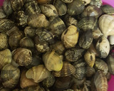 Foto del paso 1 de la receta: Almejas a la marinera