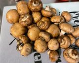 Une image de l'étape 8 de Sauté de porc aux champignons, carottes et tomates.