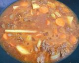 Foto langkah ke 3 dari resep Spicy Gochujang Stew with Meat.
