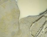 A picture of step 3 of Tea cake.