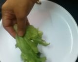 A picture of step 9 of Salad summer delight from veggie and fruit garden.