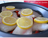 Foto del paso 5 de la receta: Merluza al limón (Thermomix)