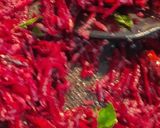 A picture of step 3 of Beetroot with coconut and curd.
