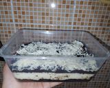 Foto langkah ke 4 dari resep Oreo Cheesecake.