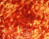 A picture of step 13 of Spicy chicken pizza🍕.