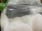 Telur Asin bebek Masir