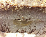 Foto del paso 3 de la receta: Postre helado de chocolate 😋