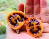 Hình bước làm 4 của món Ăn vặt tốt cho sức khoẻ: cà chua thân gỗ