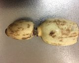 A picture of step 2 of Japanese soy cooked vegetables.