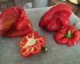 Foto del paso 5 de la receta: Pimientos rellenos de arroz y carne