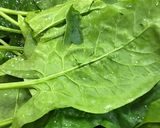 صورة لخطوة 6 من وصفة السبانخ باللحم المفروم 🍃🥩
