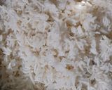A picture of step 12 of Charminar Mutton Biryani.