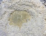 Foto del paso 2 de la receta: Gaznate de yemas sin manteca y sin grasa