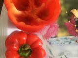 فلفل دلمه ای شکم پر