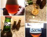 Foto del paso 10 de la receta: IPA (Indian Pale Ale)