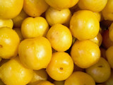 Mermelada de albaricoque