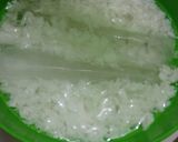 Foto langkah ke 3 dari resep Es kopyor nutrijell.