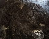 Szénhidrátcsökkentett bejgli recept fázis 4 fotója