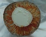 Foto del paso 4 de la receta: Pizza de macrolepiota prócera