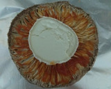 Foto del paso 4 de la receta: Pizza de macrolepiota prócera