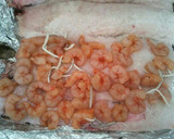Foto del paso 2 de la receta: Merluza rellena
